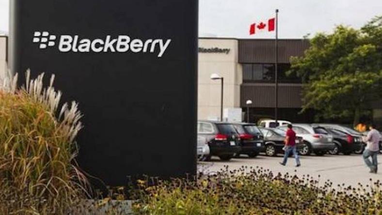 黑莓:你以为它快黄了,它却红了